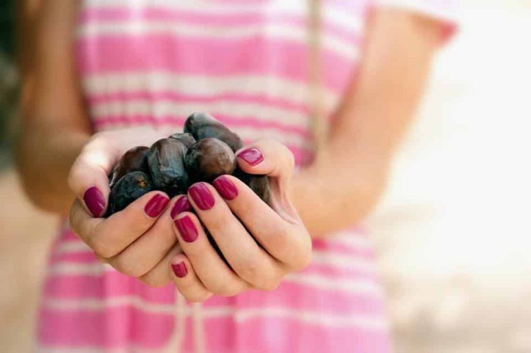 dates suppliers