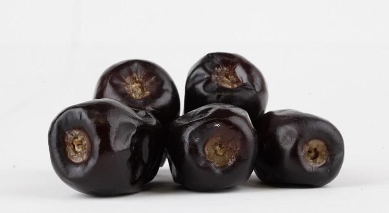 kedai kurma